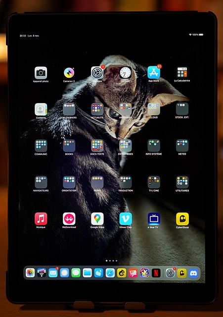 Peoria Technology Solutions,ipad, tablet, digital camera, electronic device, ios, certified, technology, graphic tablet, yk, ipad, ipad, ipad, ipad, ipad, tablet, ios,device repair
